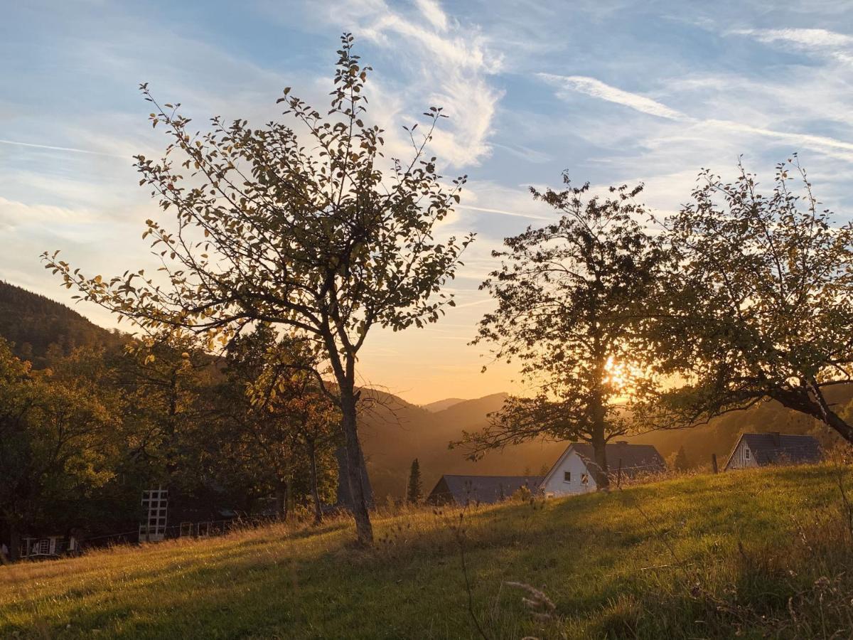 Naturpause Apartment Schmallenberg